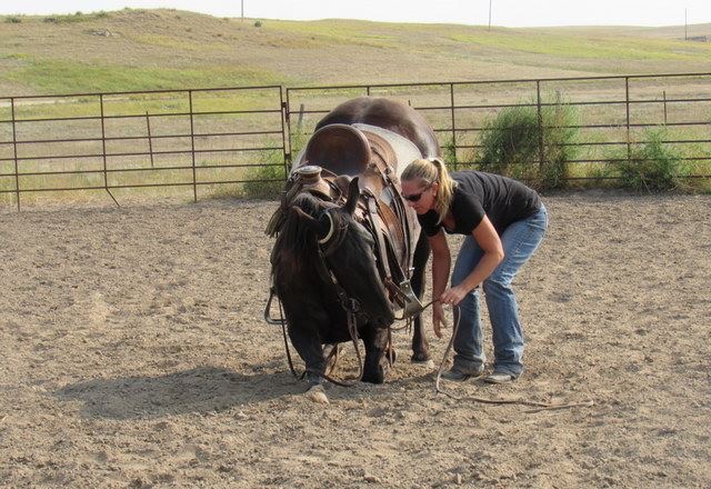 Acero learning to bow