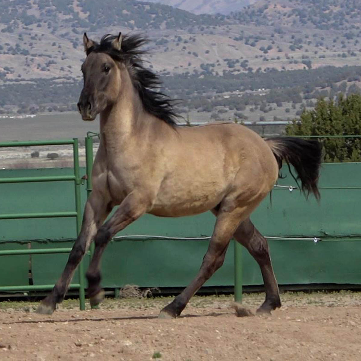 Marquee TN 03-26-2022(36)